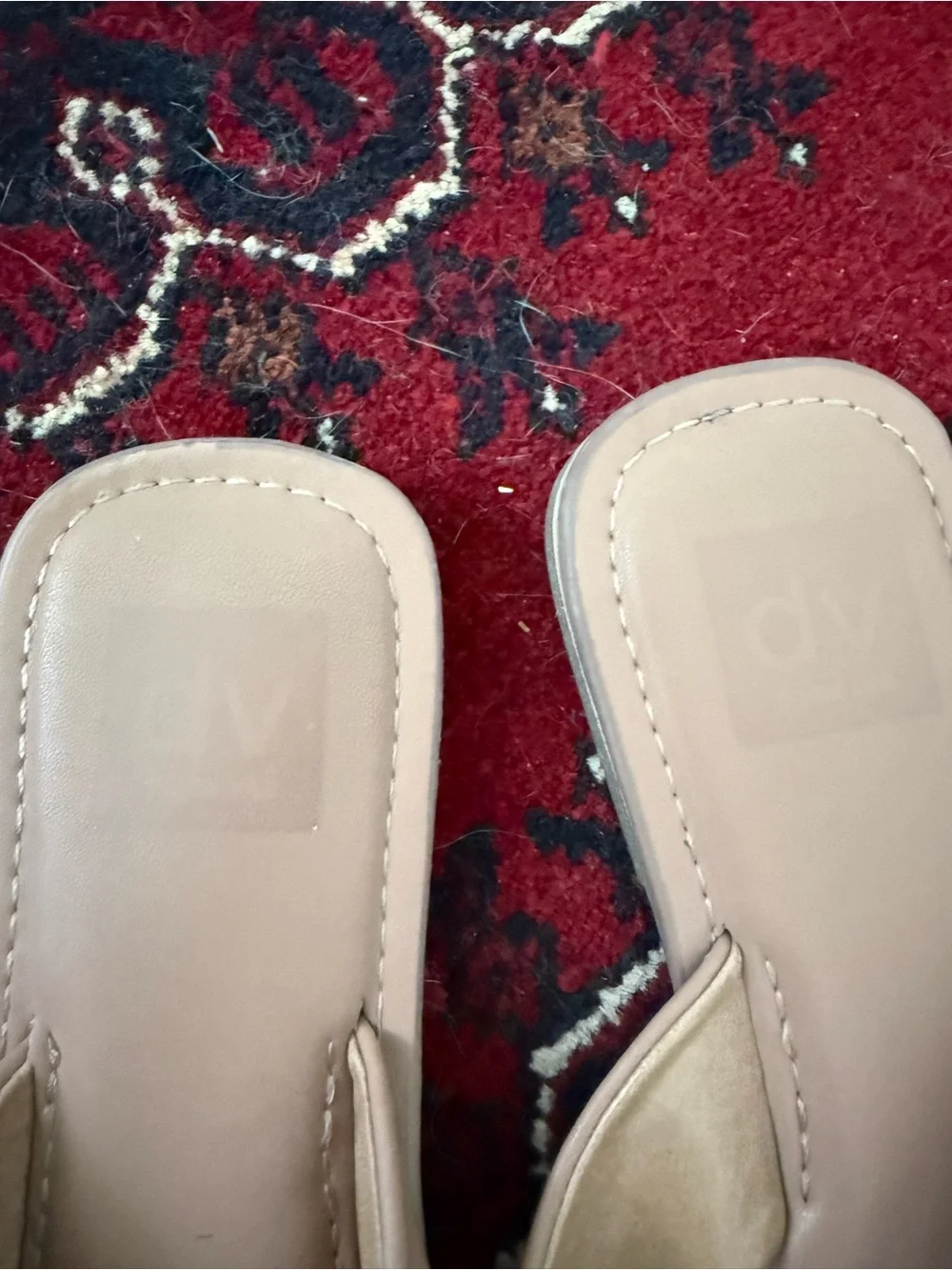 DV by Dolce Vita Flip Flops